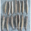 New frozen sand lance for sale